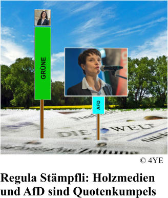Regula St�mpfli: Holzmedien und AfD sind Quotenkumpels � 4YE