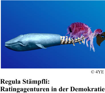 Regula St�mpfli: Ratingagenturen in der Demokratie � 4YE
