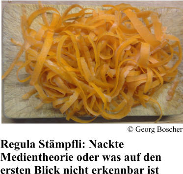 Regula St�mpfli: Nackte Medientheorie oder was auf den ersten Blick nicht erkennbar ist � Georg Boscher