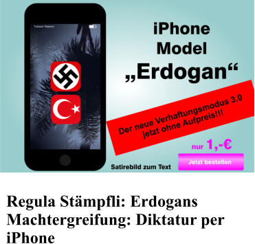 Regula St�mpfli: Erdogans Machtergreifung: Diktatur per iPhone